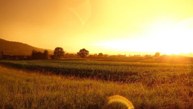 pengembangan-ekonomi-masyarakat-pt-agincourt-agincourt-resources-jakarta-indonesia