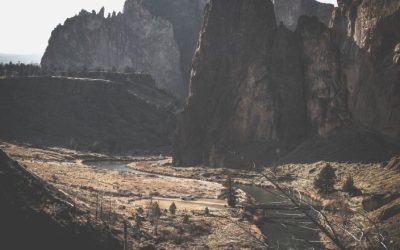 Pentingnya Transparansi Dalam Seluruh Kegiatan Pertambangan Emas