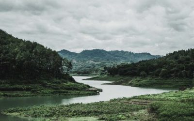 Komitmen Perusahaan Tambang PT. Agincourt Resource untuk Menjaga Alam