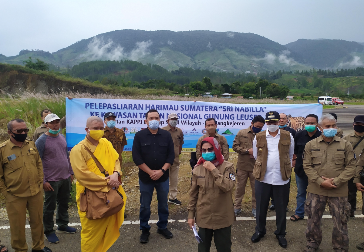 Martabe Gold Mine Supports the Release of Sumatran Tiger “Sri Nabilla” to Gunung Leuser National Park