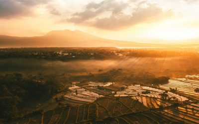 Perbandingan Pertambangan Emas di Indonesia dengan Negara Lain