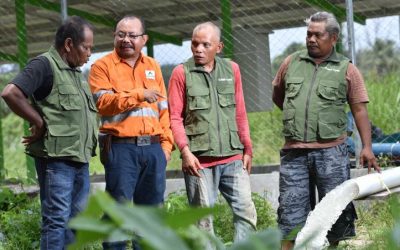 Inilah 5 Contoh Bahan Tambang Organik