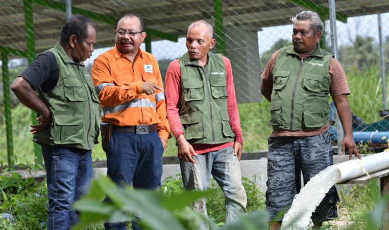 inilah-contoh-bahan-tambang-organik-agincourt