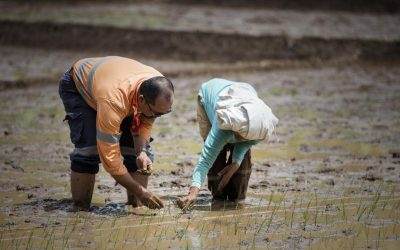 Inilah Kegiatan Perusahaan Tambang yang Bermanfaat