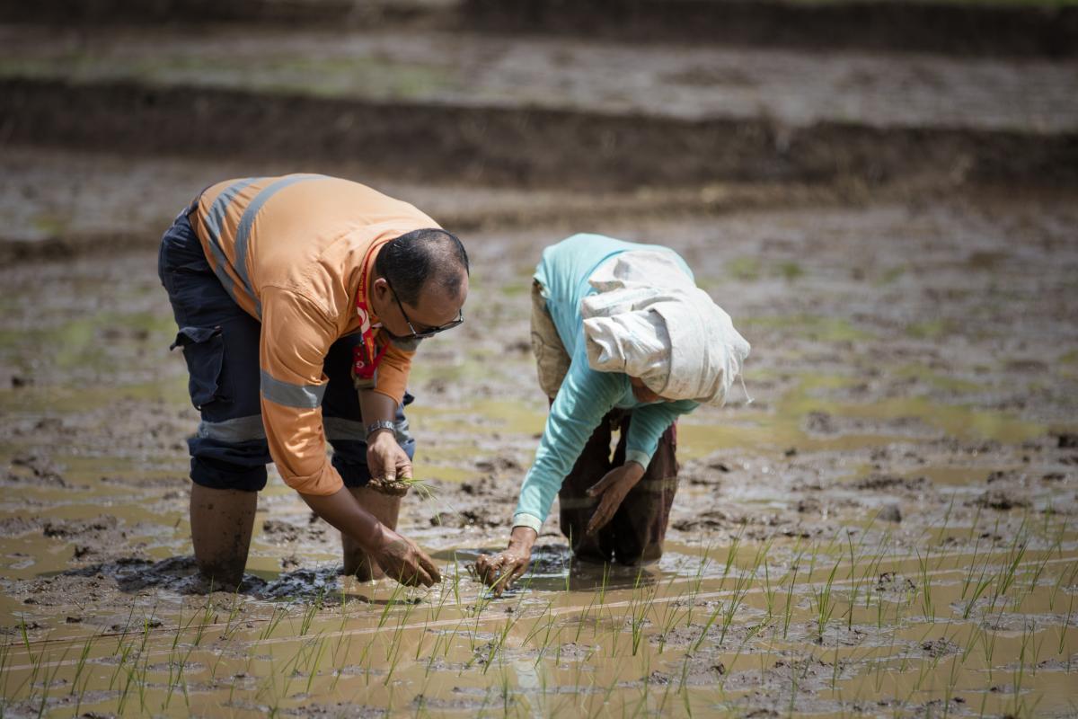 inilah kegiatan perusahaan tambang yang bermanfaatinilah kegiatan perusahaan tambang yang bermanfaatinilah kegiatan perusahaan tambang yang bermanfaat