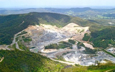 Bagaimana Proses Revegetasi Lahan Bekas Tambang?