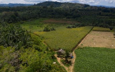 PT Agincourt Resources’ Commitment to Biodiversity