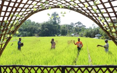 Responsible Mining to Nature