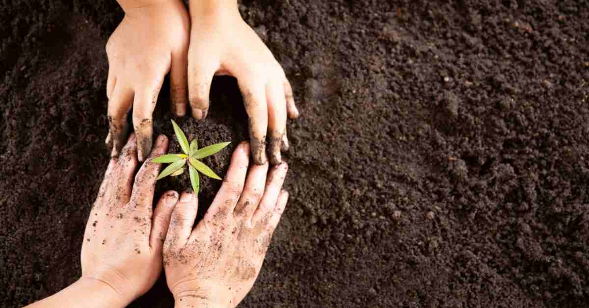 ​​cara-rehabilitasi-lahan-tambang-kritis-menjadi-produktif-agincourt