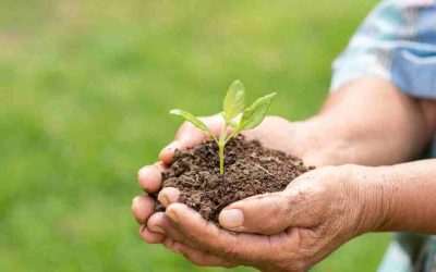 Agincourt Melakukan CSR Perusahaan Tambang di Indonesia