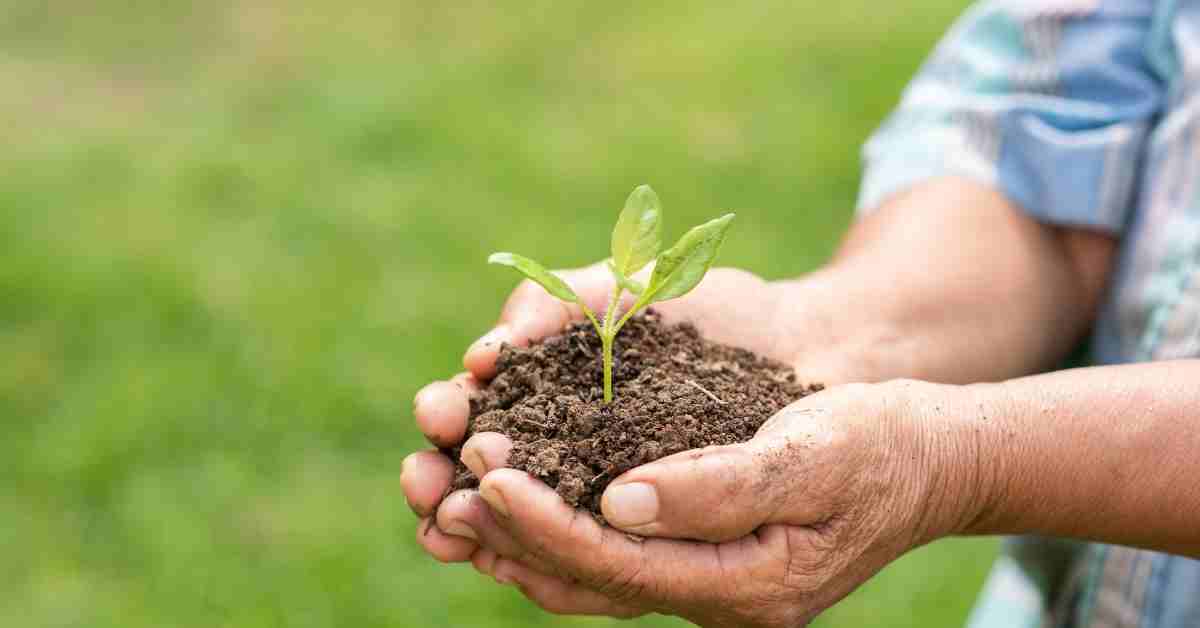 agincourt-resources-melakukan-csr-perusahaan-tambang-di-indonesia-agincourt