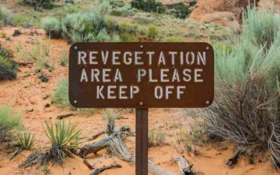 20 Istilah Reklamasi Pertambangan