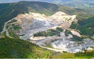 4 Fungsi Tanaman Penutup Tanah untuk Reklamasi Pasca Tambang