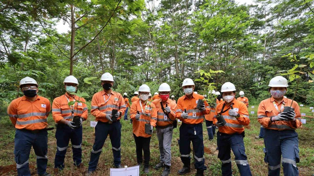 rehabilitasi-lahan-tambang-agincourt