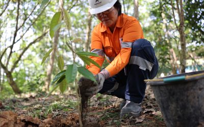 Towards Sustainable Mining