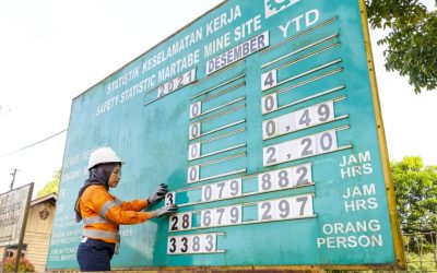 OHS Risk Management Steps