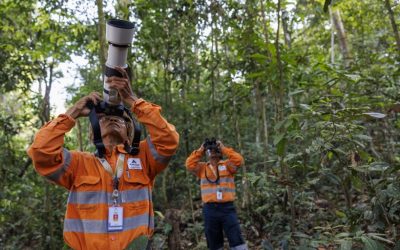 The Importance of Prioritizing the Biodiversity Principles in Mining