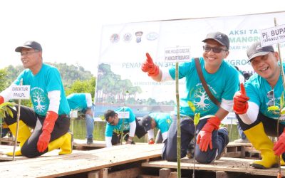 Conserving Central Tapanuli Coastal Area Agincourt Resources Plants 30,000 Mangrove Seedlings