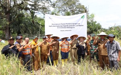 PTAR Successfully Develops Siporang Local Seeds, the First Harvest for Assisted Farmers