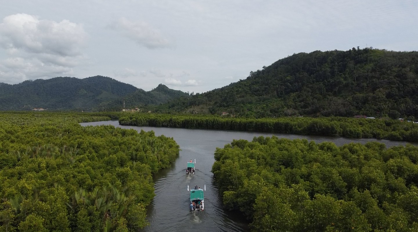 mangrove tumbhnail Disaster Mitigation Due to Global Warming by Building Mangrove Ecosystems