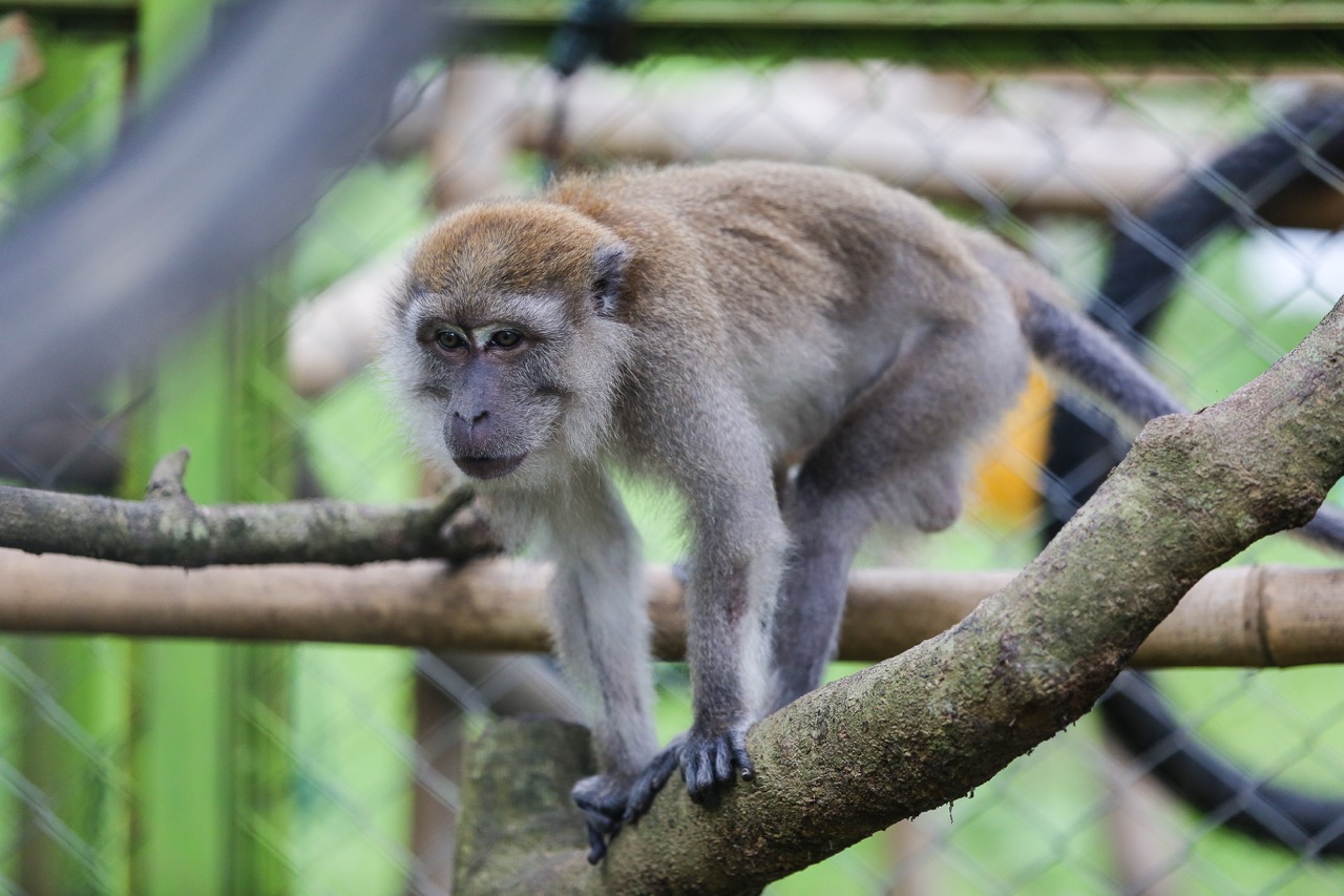 PTAR's Efforts for Protecting the Wildlife Around the Mine