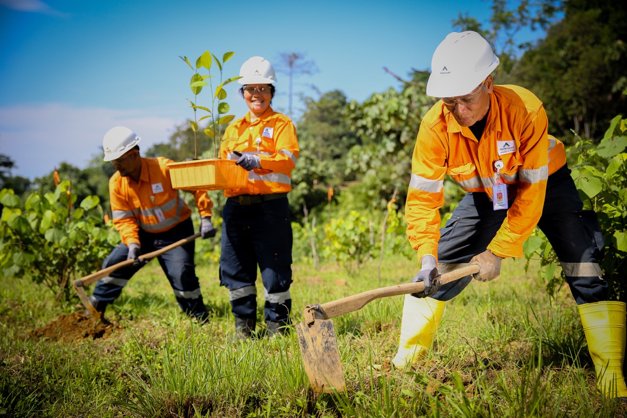 Mining and Forest Reclamation Absolute Rules