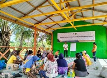 Masuki Musim Tanam, Agincourt Resources Fasilitasi Pelatihan Penangkaran Benih Padi Bersertifikat  