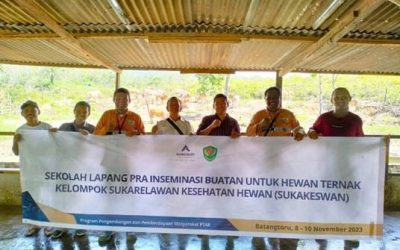 Field School for Artificial Insemination, Form of Support: Agincourt Resources Enhances Livestock Output Quality 