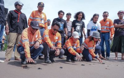 1.000 Tukik Bertahap Dilepaskan di Muara Opu untuk Pelestarian Penyu  