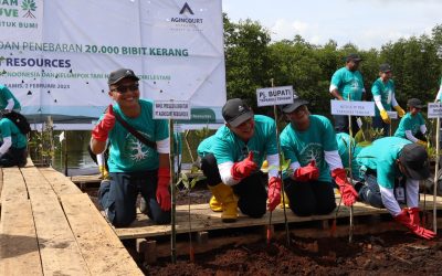 Mangroves: The Coastal Defender and Nature’s Solution for Global Warming