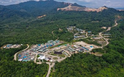 Batangtoru Forest, The Lungs and Gems of Tapanuli 