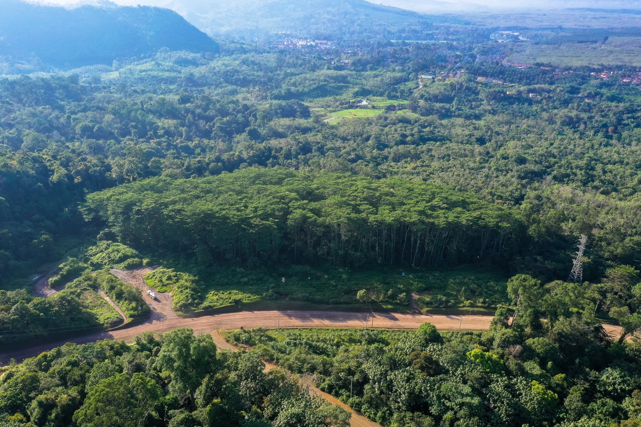 Batangtoru Forest, The Lungs and Gems of Tapanuli Content
