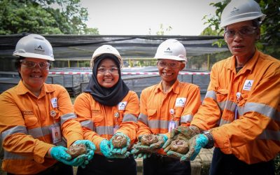 Growing Trees, Maintaining Biodiversity