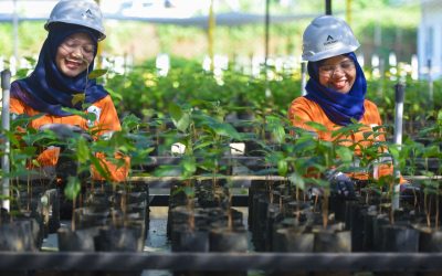 Phenology Studies, Key to the Success of Mine Reclamation and Biodiversity Conservation 