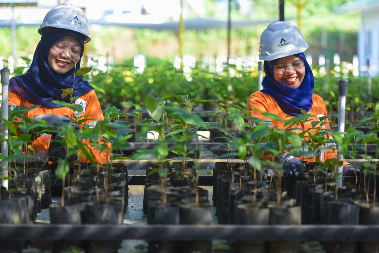 Phenology Studies, Key to the Success of Mine Reclamation and Biodiversity Conservation Thumbnail