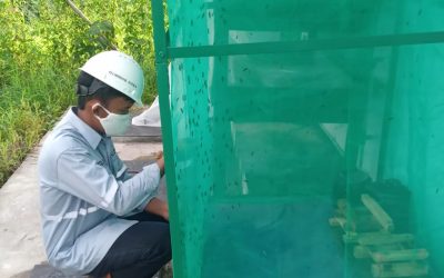 ICB Cooperative Explores the Economic Potential of Maggot Cultivation at the Waste Sortation Facility 