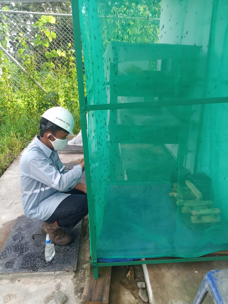 ICB Cooperative Explores the Economic Potential of Maggot Cultivation at the Waste Sortation Facility