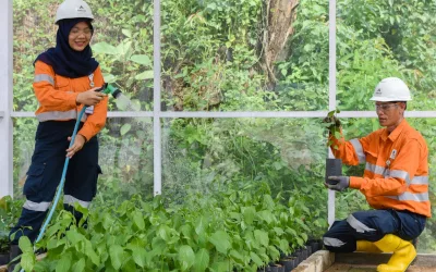 Leading the Transformation Towards Eco-Friendly Mining with Technological Innovation