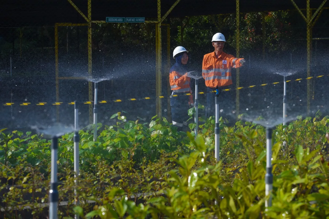 Photo 2: To support the land reclamation process, PT Agincourt Resources built a mycorrhiza laboratory, which is one of the facilities in the 6,000 square meter within the Martabe Gold Mine Nursery area. (Doc: PTAR)
