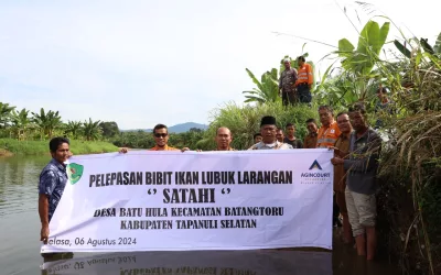 Thousands of Local Endemic Fish Fingerlings Released in Lubuk Larangan Sungai Batu Hula