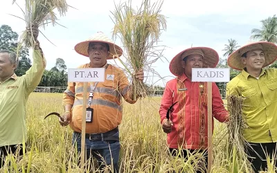 Grand Success! Mawar Farmers Group Celebrated Abundant Harvest of High-Quality Rice Seeds