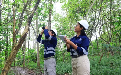 Biodiversity of Batang Toru: A Sanctuary for the World’s Rarest Flora and Fauna