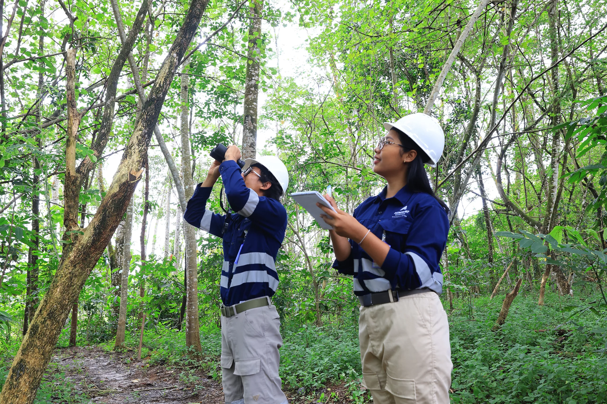 biodiversity-batang-toru-rumah-bagi-flora-dan-fauna-langka-dunia biodiversity-batang-toru-rumah-bagi-flora-dan-fauna-langka-dunia