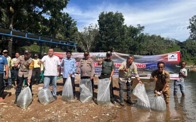 Spreading Hope in the River: 6,000 Jurung Fish Released for Nature and Future Generations 