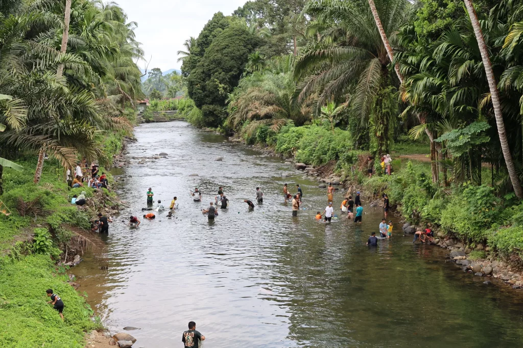 a-bountiful-harvest-of-250-kilograms-of-endemic-fish-garoga-s-lubuk-larangan-generates-idr-64-million-for-community-welfare