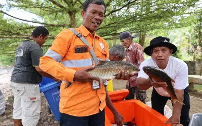 A Bountiful Harvest of 250 Kilograms of Endemic Fish: Garoga’s Lubuk Larangan Generates IDR 64 Million for Community Welfare 