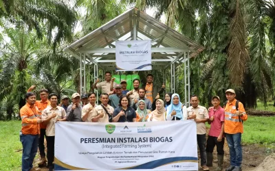Inauguration of the First Biogas Installation in Batang Toru, Transforming Cow Manure into Natural Energy 
