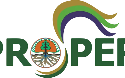 Understanding PROPER: A Concrete Step in Upholding Sustainable Mining Practices