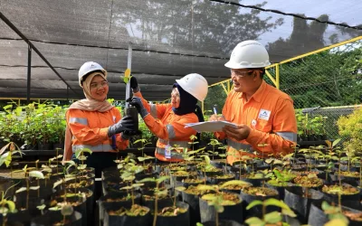 Biodiversity in Batang Toru:Local Plant Nursery – Building a Sustainable Future for Forests