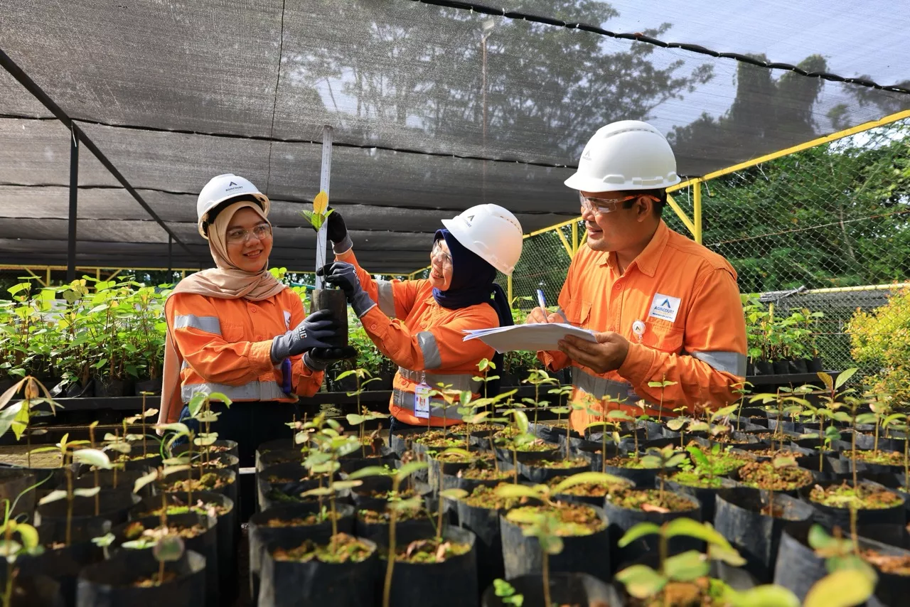 Biodiversity in Batang Toru:Local Plant Nursery – Building a Sustainable Future for Forests
